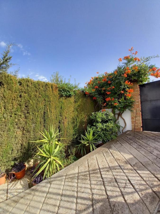 Casa Rural Xauen Βίλα Belicena Εξωτερικό φωτογραφία